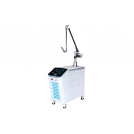 ND YAG laser s ultrakratkym impulsem na laserove odstraňení tetování Pulsar TL-600 Neo+